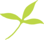 leaf leaf